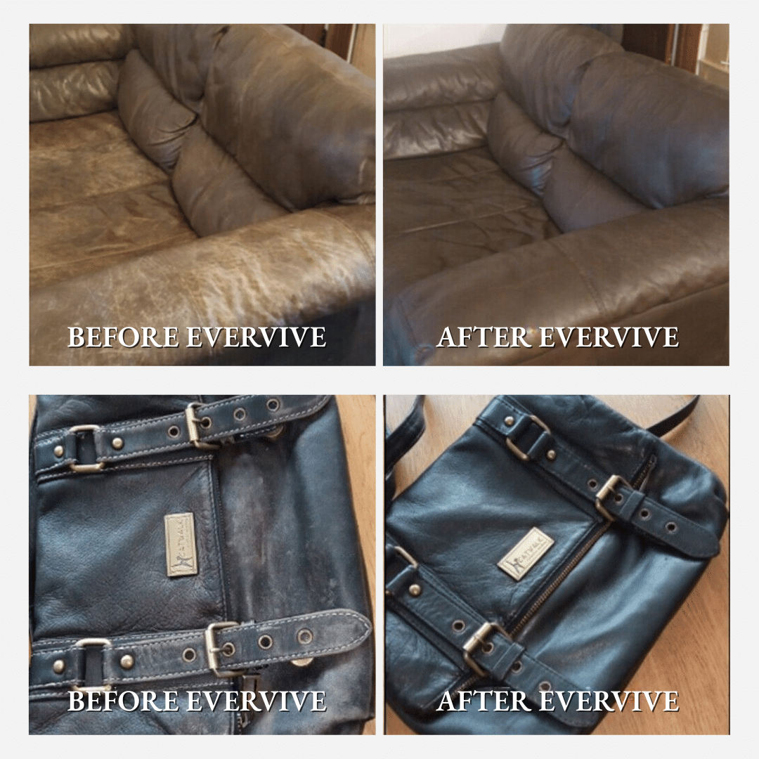Leather & Furniture Repair Salve + Applicator Brush